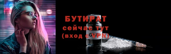 индика Бородино