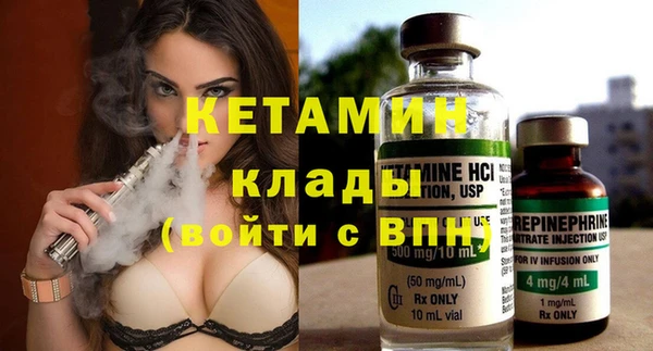 индика Бородино