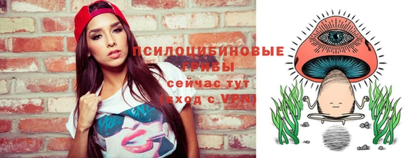 прущие крисы Богданович
