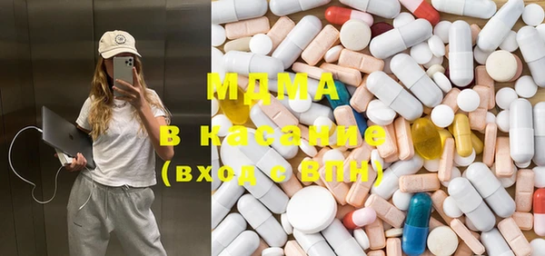 индика Бородино