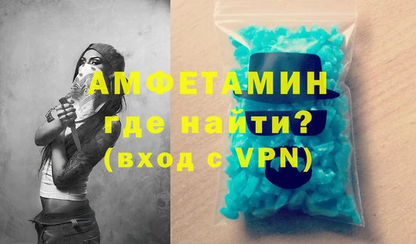 индика Бородино