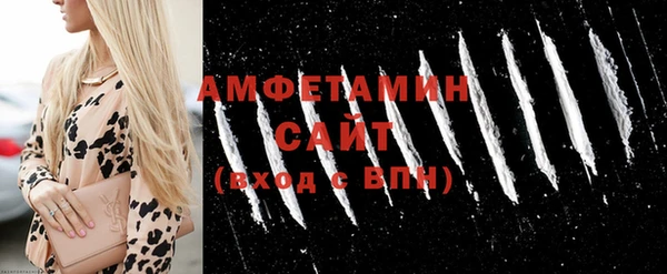 индика Бородино