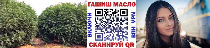 МЕГА как войти  Рыбинск  ТГК Wax 
